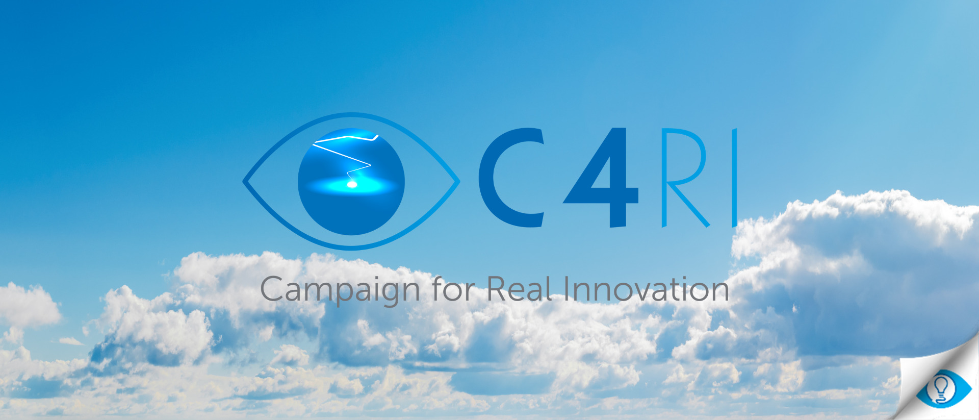 The Campaign for Real Innovation - Blue Yonder Research