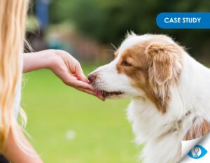 Dog Treats Case Study - Qual HUT